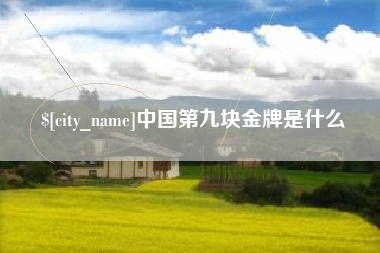 苏州中国第九块金牌是什么