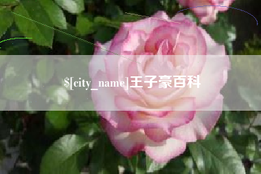 苏州王子豪百科