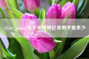 苏州五千米世界纪录男子是多少