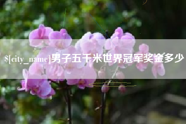 苏州男子五千米世界冠军奖金多少