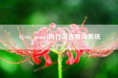 苏州执行公告查询系统