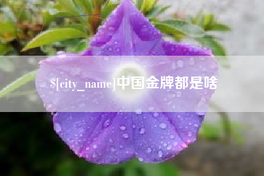 苏州中国金牌都是啥