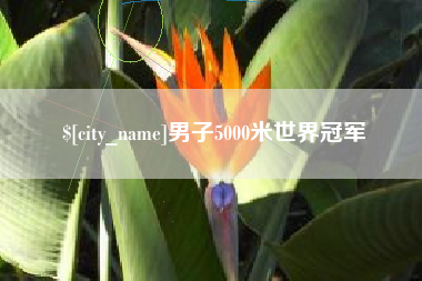 苏州男子5000米世界冠军