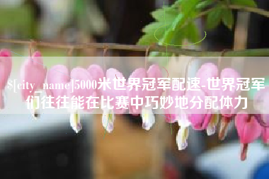 苏州5000米世界冠军配速-世界冠军们往往能在比赛中巧妙地分配体力