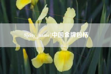 苏州中国金牌包括