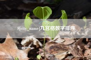 苏州九宫格数字排序