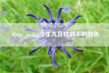 苏州今年九宫格的不利颜色