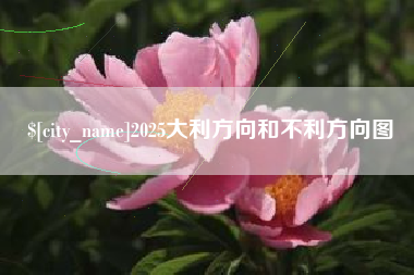 苏州2025大利方向和不利方向图
