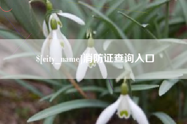苏州消防证查询入口