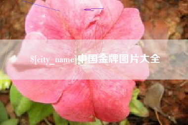 苏州中国金牌图片大全