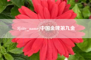 苏州中国金牌第九金