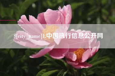 苏州1.中国执行信息公开网
