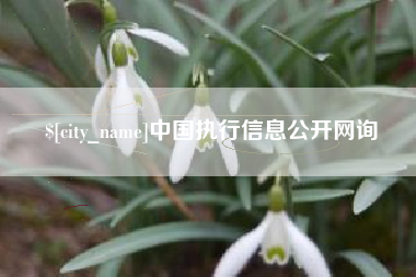 苏州中国执行信息公开网询