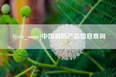 苏州中国消防产品信息查询