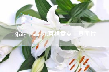 苏州九宫格盘点工具图片
