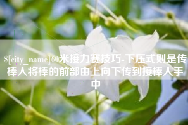 苏州60米接力赛技巧-下压式则是传棒人将棒的前部由上向下传到接棒人手中