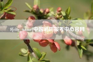 苏州中国消防报考中心官网