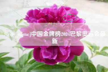 苏州中国金牌榜2024巴黎奥运会最新