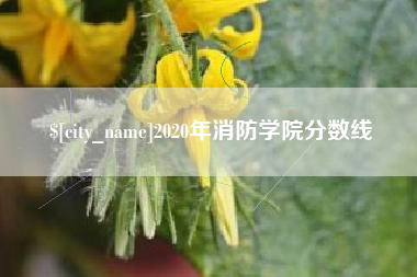 苏州2020年消防学院分数线