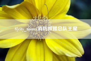 苏州消防救援总队王星