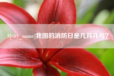 苏州我国的消防日是几月几号？