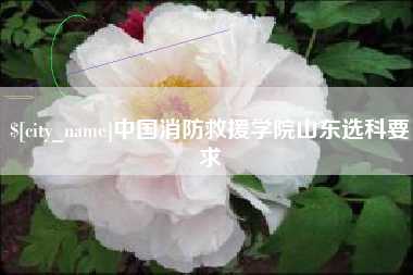 苏州中国消防救援学院山东选科要求