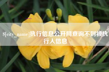 苏州执行信息公开网查询不到被执行人信息