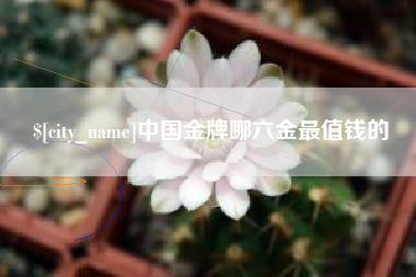 苏州中国金牌哪六金最值钱的