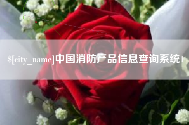 苏州中国消防产品信息查询系统1
