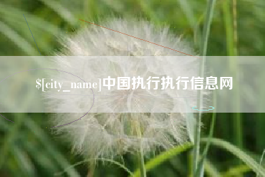 苏州中国执行执行信息网