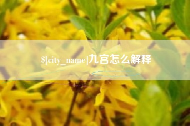 苏州九宫怎么解释