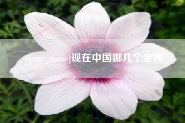 苏州现在中国哪几个金牌