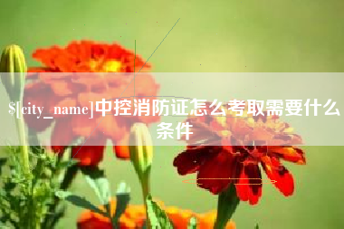 苏州中控消防证怎么考取需要什么条件