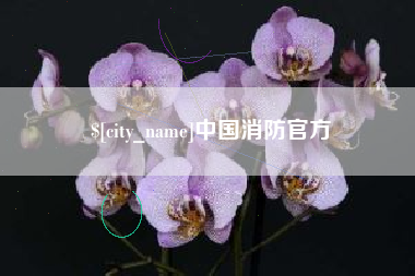 苏州中国消防官方