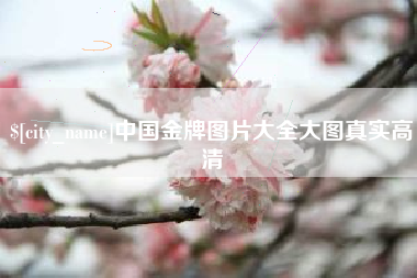 苏州中国金牌图片大全大图真实高清