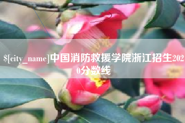 苏州中国消防救援学院浙江招生2020分数线