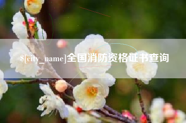 苏州全国消防资格证书查询