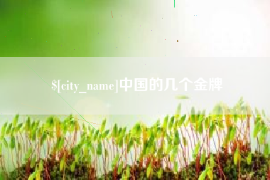 苏州中国的几个金牌
