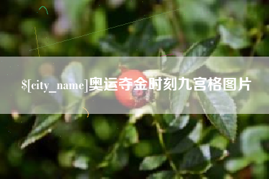 苏州奥运夺金时刻九宫格图片