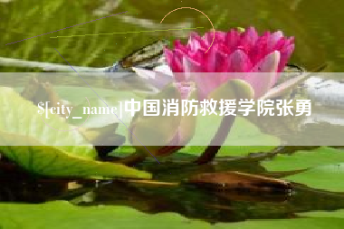 苏州中国消防救援学院张勇