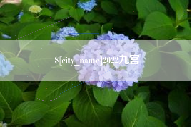 苏州2022九宫