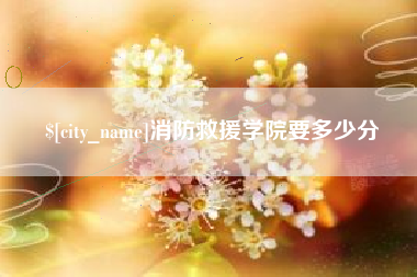 苏州消防救援学院要多少分