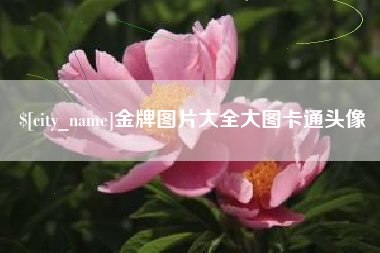 苏州金牌图片大全大图卡通头像