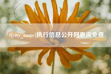 苏州执行信息公开网查询免费